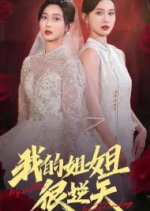 My Sister Outstanding Chinese Drama photo