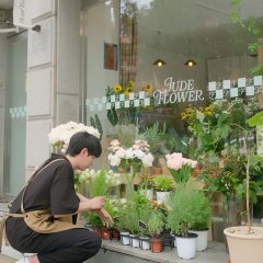 Falling for My Boss Korean Drama photo