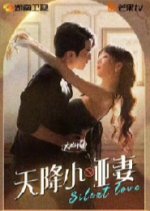 The Silent Wife Sent from Heaven Chinese Drama photo