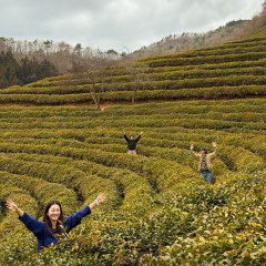 Kkotboda Cheongchun: Rimitideu Edisyeon Korean TV Program(2026) photo