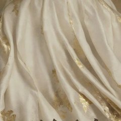 Yi Zhi Qian Jin Chinese Drama photo