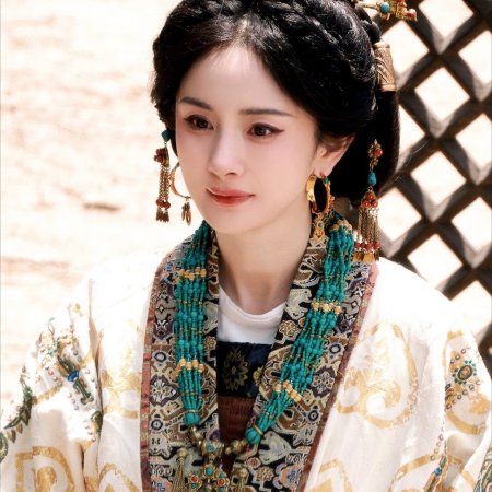 Northern Wei Dynasty ()