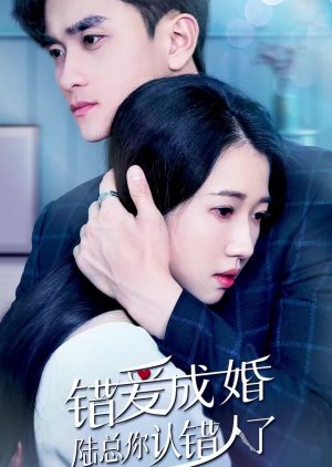 Marriage Due to Wrong Love: Mr. Lu, You Have the Wrong Person poster