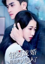 Marriage Due to Wrong Love: Mr. Lu, You Have the Wrong Person Chinese Drama(2023) photo