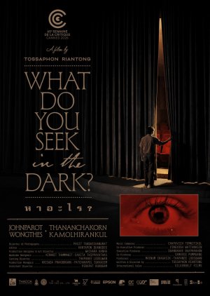 What Do You See in the Dark? (2026) poster