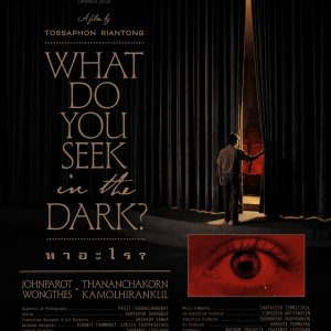 What Do You See in the Dark? (2026)