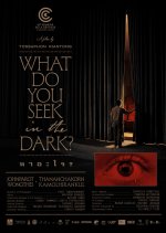 What Do You See in the Dark?