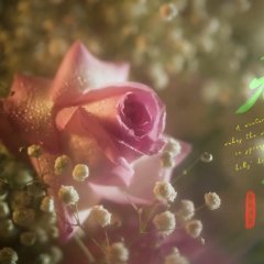 A Winter Sun Wakes the Wind in Spring Hills' Dream Chinese Drama(0000) photo