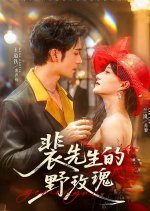 Pei Xian Sheng De Ye Mei Gui Chinese Drama(2025) photo