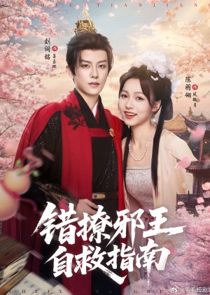 Cuo Liao Xie Wang Zi Jiu Zhi Nan (2025) poster