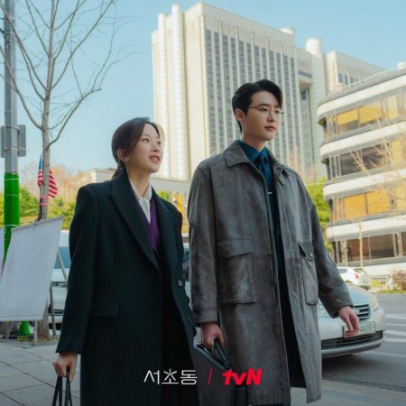 Law and the City (2025)