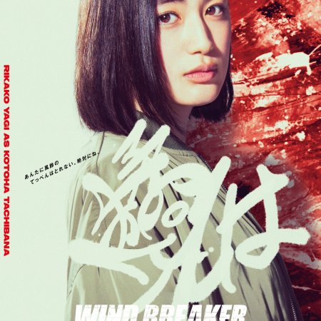 Wind Breaker (2025)