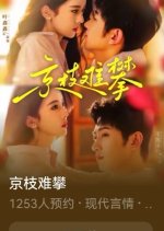 Marriage Escape to Mystery Chinese Drama(2025) photo