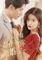 The Anticipated Divorce Chinese Drama(2023) photo