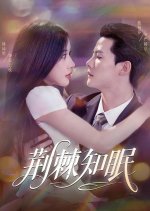 Jing Ji Zhi Mian Chinese Drama(2025) photo