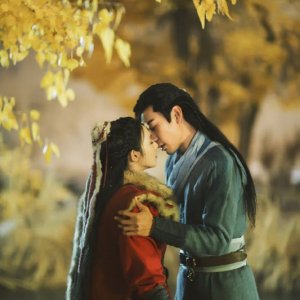 Find your fated C Drama Husband