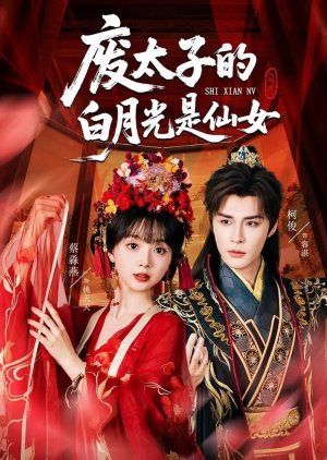 Fei Tai Zi De Bai Yue Guang Shi Xian Nv (2025) poster