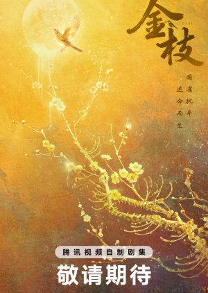 Jin Zhi poster