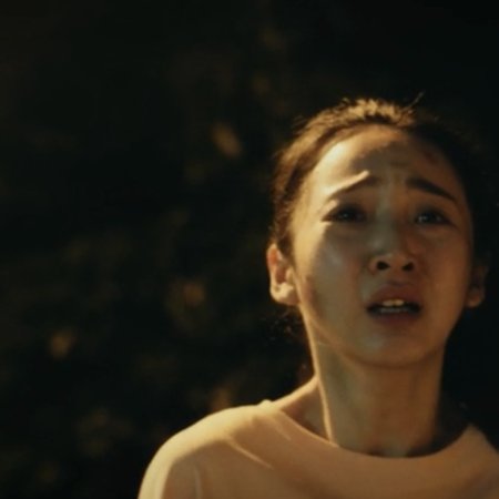 Had I Not Seen the Sun (2025)