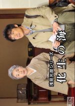 Asami Mitsuhiko Series 30 Japanese Drama(2011) photo