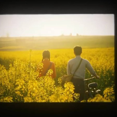 Love Story in the 1970s (2026)