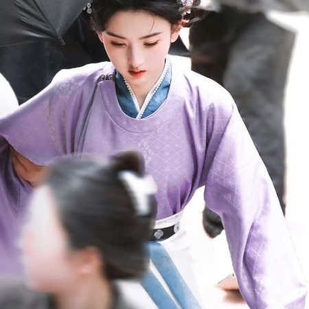 The Palace Stewardess ()