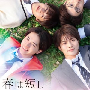 Haru wa Mijikashi Koiseyo Danshi. (2023)