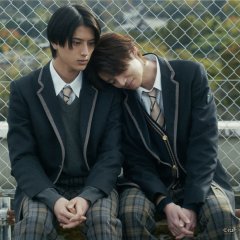 Contrast Japanese Drama(2026) photo