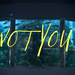 Not You. Japanese Movie(2025) photo