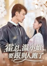 President Huo, Miss Wen and Someone Else Have Run Away Chinese Drama(2025) photo