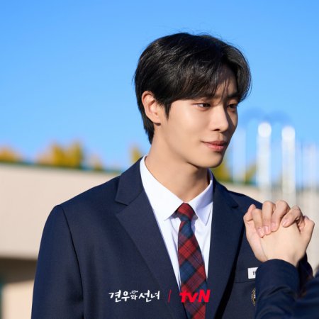 Head over Heels (2025)