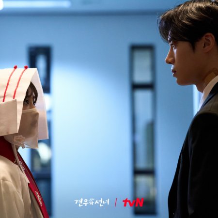 Head over Heels (2025)
