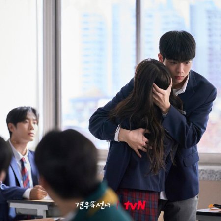 Head over Heels (2025)