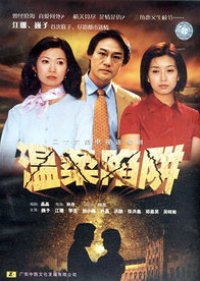 Wen Rou Xian Jing (2001) poster
