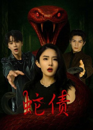 She Zhai (2025) poster