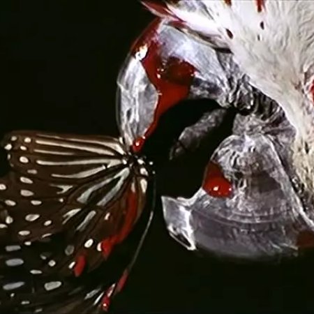 The Butterfly Murders (1979)