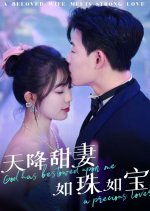 God Has Bestowed upon Me a Precious Lover Chinese Drama(2025) photo