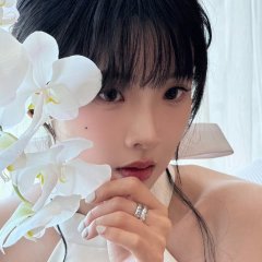 The Dream of the Red Chamber Chinese Movie(2024) photo