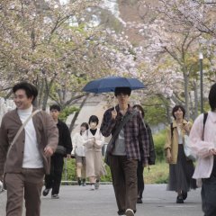 She Taught Me Serendipity Japanese Movie photo