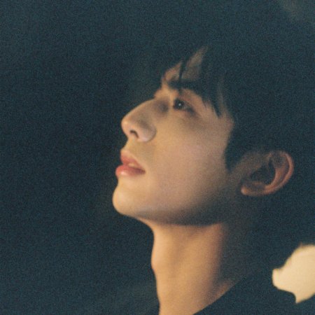 Love for You (2026)
