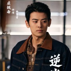 Ying Zhen Nan photo