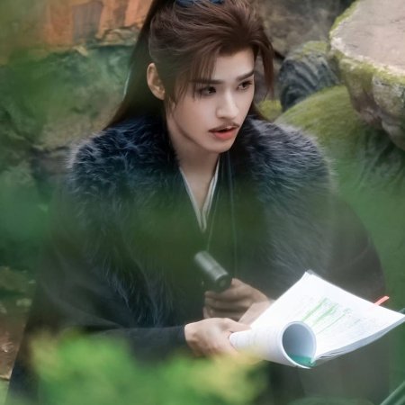 The Legend of Lu Xiaofeng ()