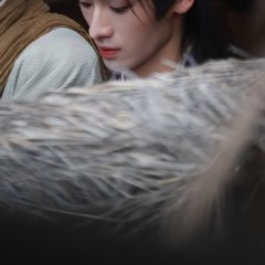Quan Yi Lun photo