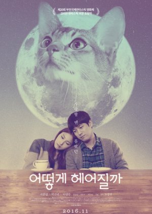How to Break up with My Cat (2016) poster