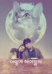 Dramas with a focus on pets