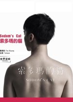Sodom's Cat Taiwanese Movie photo