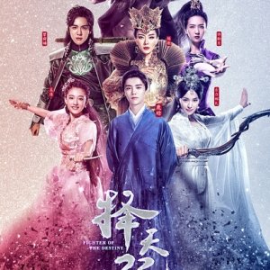 Fighter of the  Destiny (2017)