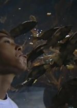 Summer Snow Japanese Drama photo