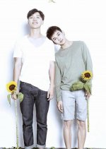 This Summer Chinese Movie photo