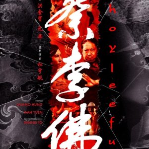Choy Lee Fut Kung Fu (2011)